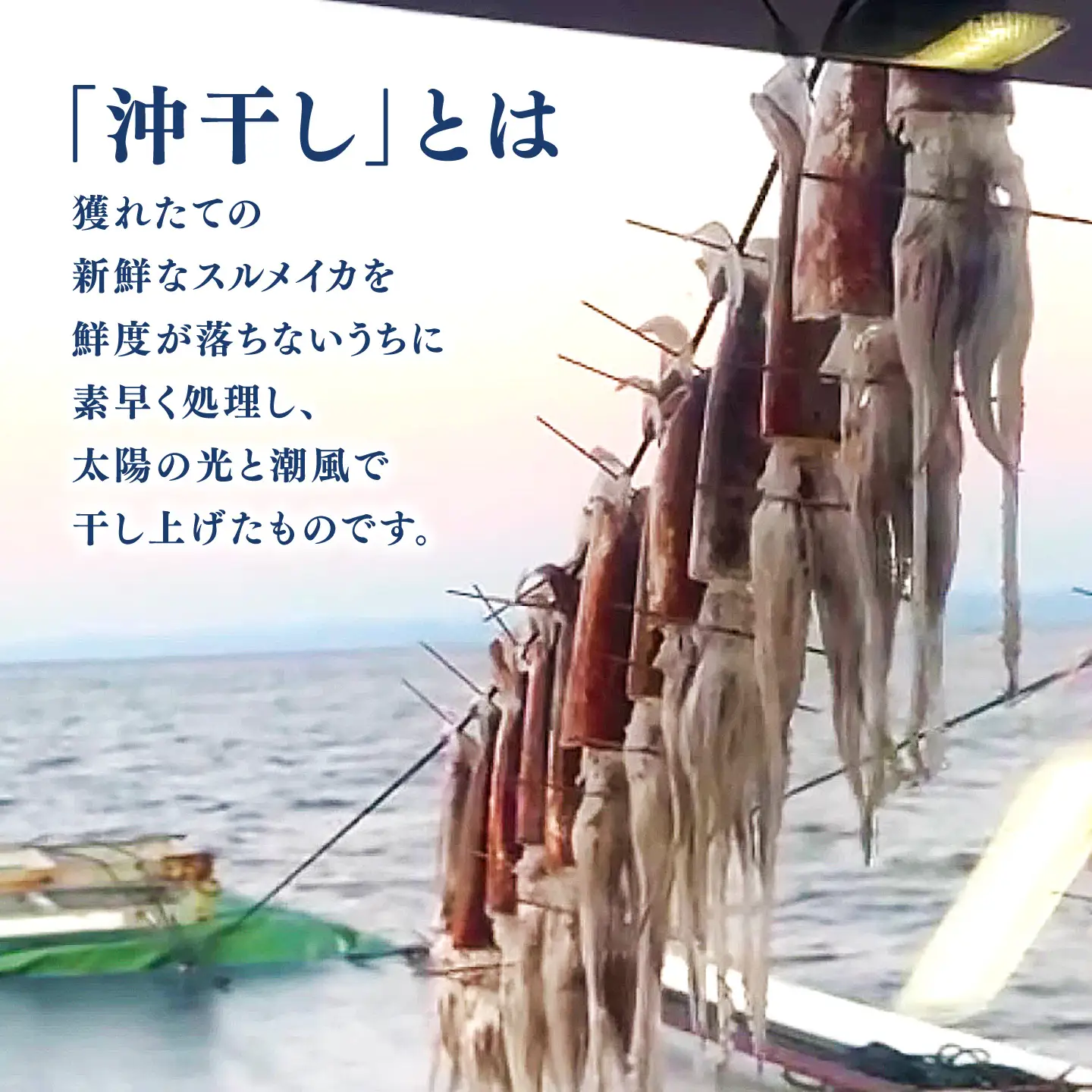 【先行予約】 高知県産 スルメイカ 沖干し 3枚 〈2027年1月上旬から発送〉 / するめいか イカ いか 沖干し スルメ するめ 海鮮 乾燥 おつまみ おかず おやつ 冷凍 高知 【ワクトフーズ】 [ATHF002]