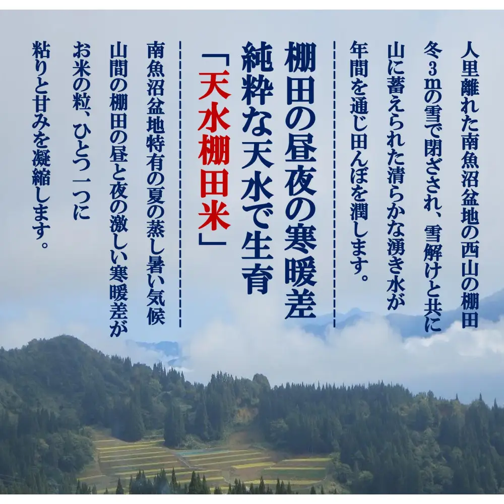 令和8年産新米予約【天水棚田米】特別栽培米雪蔵熟成塩沢産コシヒカリ精米5kg1回「とやの里山継承プロジェクト」【銘柄 精米 こしひかり コシヒカリ 魚沼産 新潟米 お米 米 こめ】【2026年10月下旬より順次発送予定】
