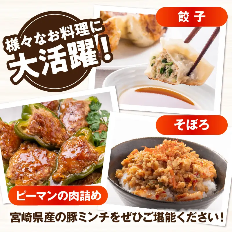 宮崎県産豚ミンチ 2kg_kn126-002-020
