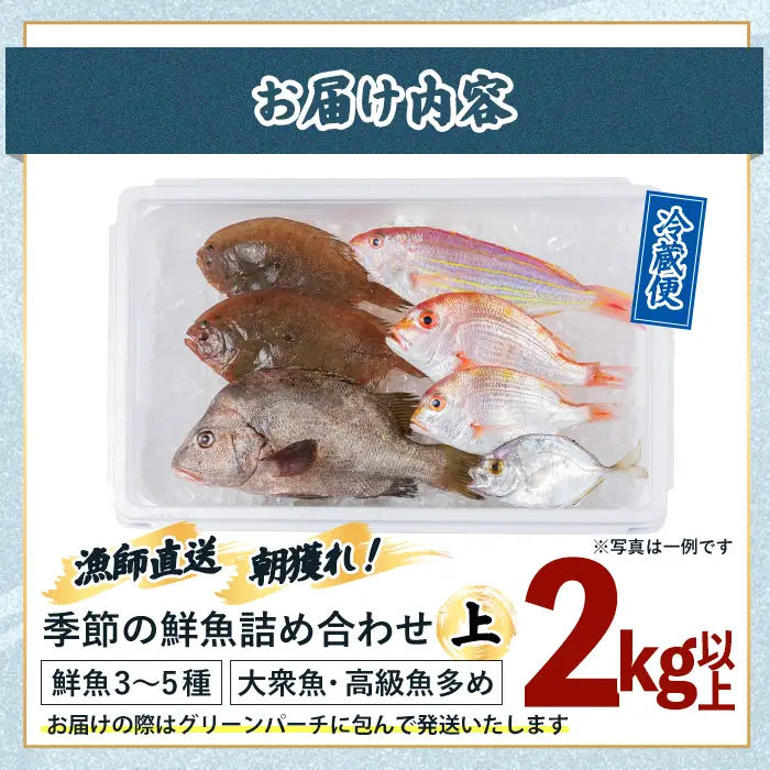【北海道・離島配送不可】漁師直送！朝獲れ 季節の 鮮魚 詰め合わせ (上) (合計2kg以上・3～5種) 下処理済み 大衆魚 高級魚 未利用魚 冷蔵 BOX ボックス イカ 鯛 海鮮 魚介 食べ比べ 詰合せ 宮崎県産 【O-11】【門川漁業協同組合】