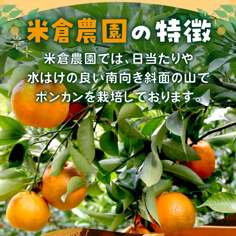 【1147-2】ポンカン 7.5キロ《先行予約2027年1月中旬頃より順次発送予定》