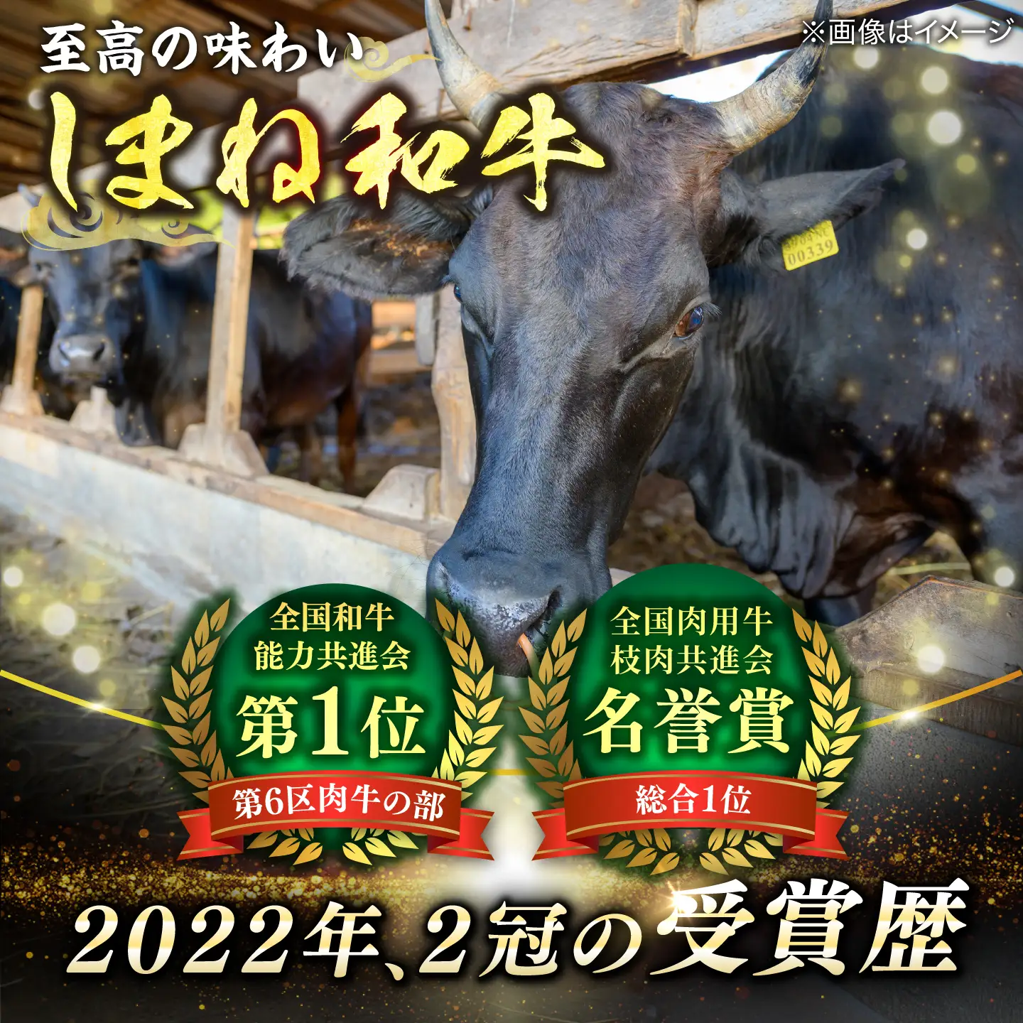 しまね和牛 サーロインステーキ 320g ／ さーろいん ステーキ ALCV013