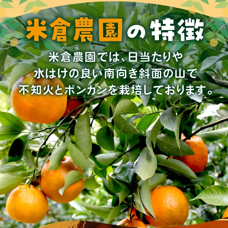【1148-2】不知火・ポンカン詰め合わせ《先行予約2027年1月下旬頃より順次発送予定》
