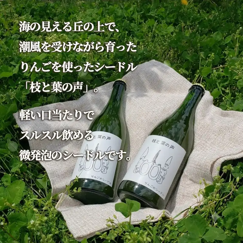 【14日以内発送】 りんごのシードル 枝と葉の声 375ml×2本