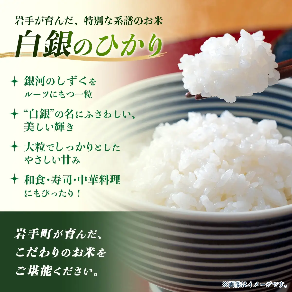 【先行予約】 令和8年度産 白銀のひかり 5㎏ 新米