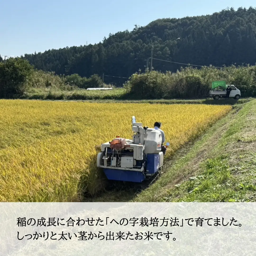 【2026年先行予約】信州大田原産 新米 あきたこまち玄米 10kg (5kg×2袋) | あきたこまち 玄米