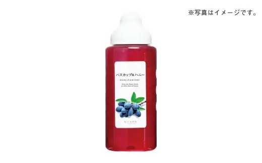 【 10回定期便 】 果汁入りはちみつ ハスカップ 1000g はちみつ ハチミツ 蜂蜜 ハニー 蜜 果汁 杉養蜂園 定期便