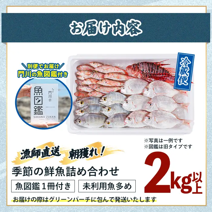 【北海道・離島配送不可】漁師直送！朝獲れ 季節の 鮮魚 詰め合わせ (合計2kg以上・3～5種・門川の魚図鑑付き)  【O-12】【門川漁業協同組合】