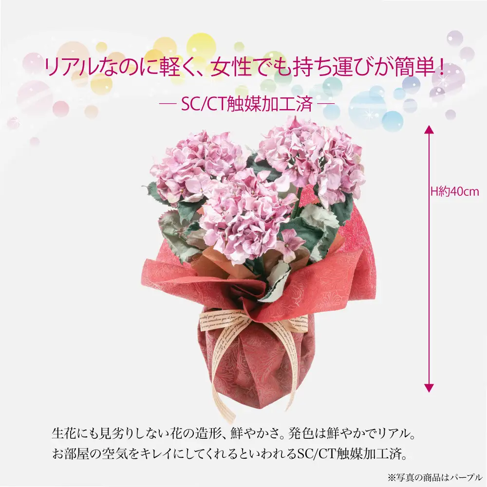 アーティフィシャルフラワー 紫陽花 大輪 3本立ち パープル SC触媒加工済