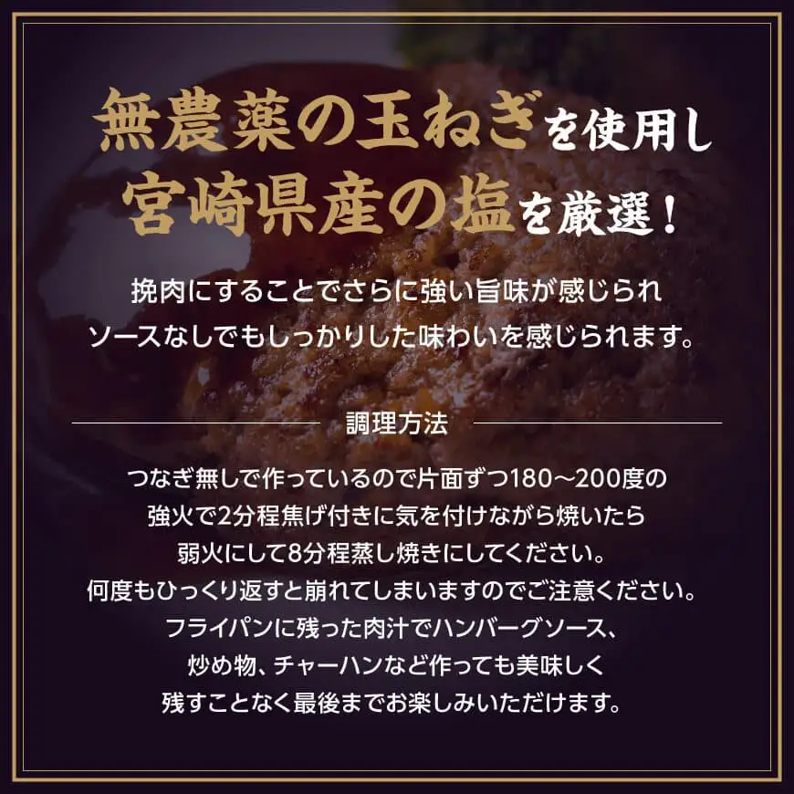 【川南町産】ブランド和牛　いぶさな牛ハンバーグ120g×5個 【 宮崎県産 牛 ハンバーグ 黒毛和牛 】