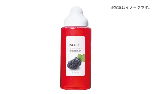 【 3回定期便 】＜ 巨峰 ＞ 果汁入りはちみつ 1000g はちみつ ハチミツ 蜂蜜 ハニー 蜜 果汁 杉養蜂園 定期便