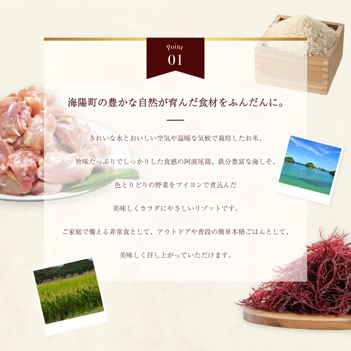 阿波尾鶏と海しそのリゾット 2食 2種セット ブイヨン仕立て 生クリーム仕立て 各1食 計2食 防災食