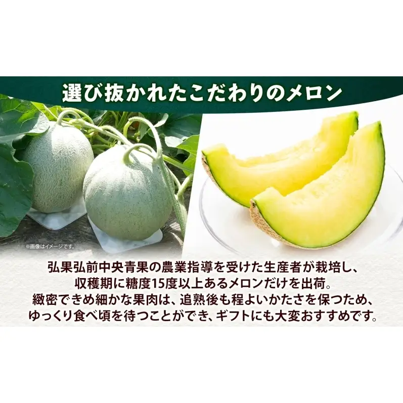 青森県産 つがりあんメロン 「アーバンデリシャス」 Lサイズ 2玉 甘い 濃厚 ハウス栽培 弘果弘前中央青果 産地直送 メロン フルーツ 果物 ギフト 贈答 青森県 鶴田町