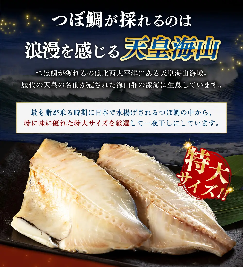 【 14営業日以内に発送 】 釧之助 極旨つぼだい半身 100g × 2パック 計200g タイ たい 鯛 つぼ鯛 魚 魚類 魚介 魚介類 海鮮 干物 一夜干し おつまみ 晩酌 おかず 冷凍