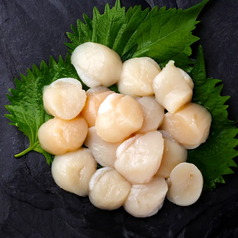 【 訳あり 】 北海道産 ホタテ貝柱 冷凍 500g × 2 ホタテ 貝柱 貝 貝類 海鮮 魚介類 魚介 おつまみ 晩酌 酒の肴 国産