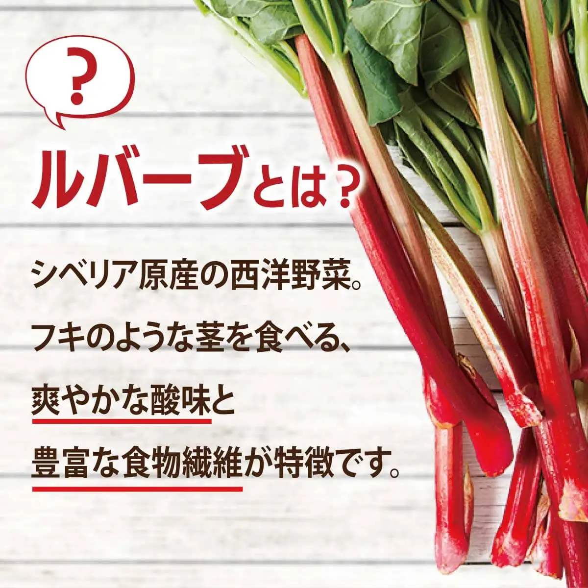 北海道 伊達市産 ルバーブ(苗) 4本｜国産 野菜 ジャム パイ お菓子作り 家庭菜園【kzh-020】