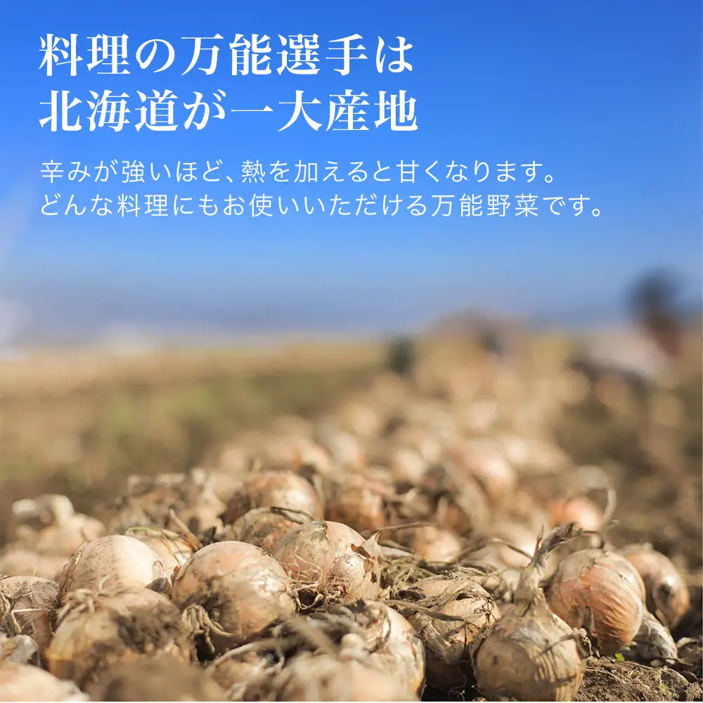 【先行予約】玉ねぎ 訳あり 5kg ＜令和8年産＞ 美瑛選果 美瑛町産