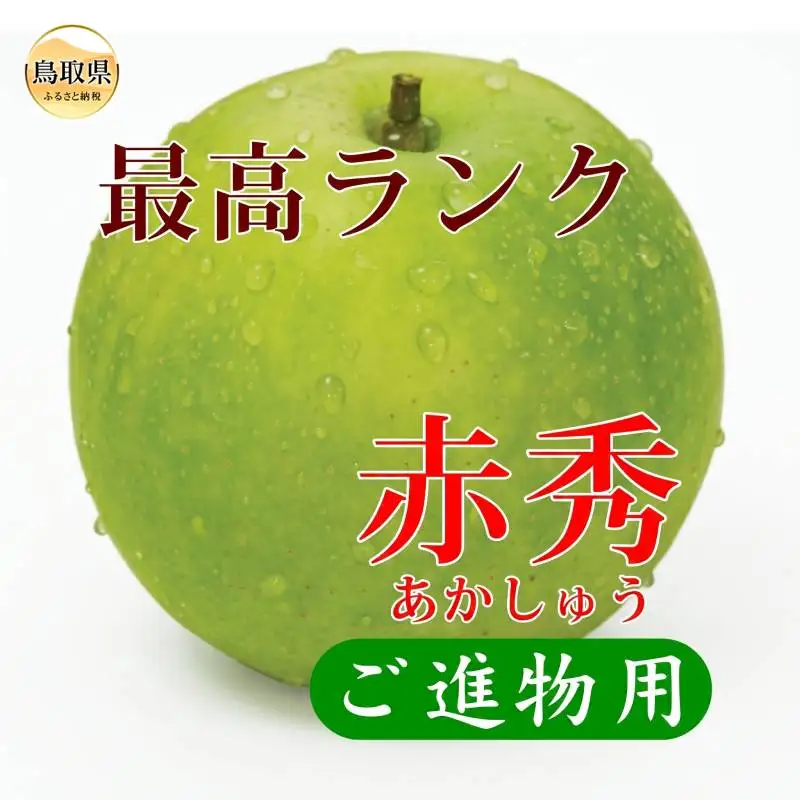 鳥取県産　二十世紀梨　“赤秀”2kg　（6玉/3Lサイズ）【期間･数量限定】_T2600481