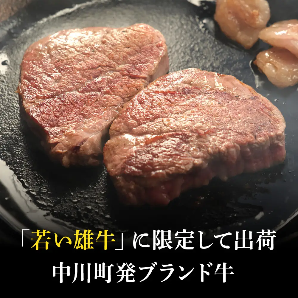 【北海道】中川町産ナカガワ牛　ヒレ300g