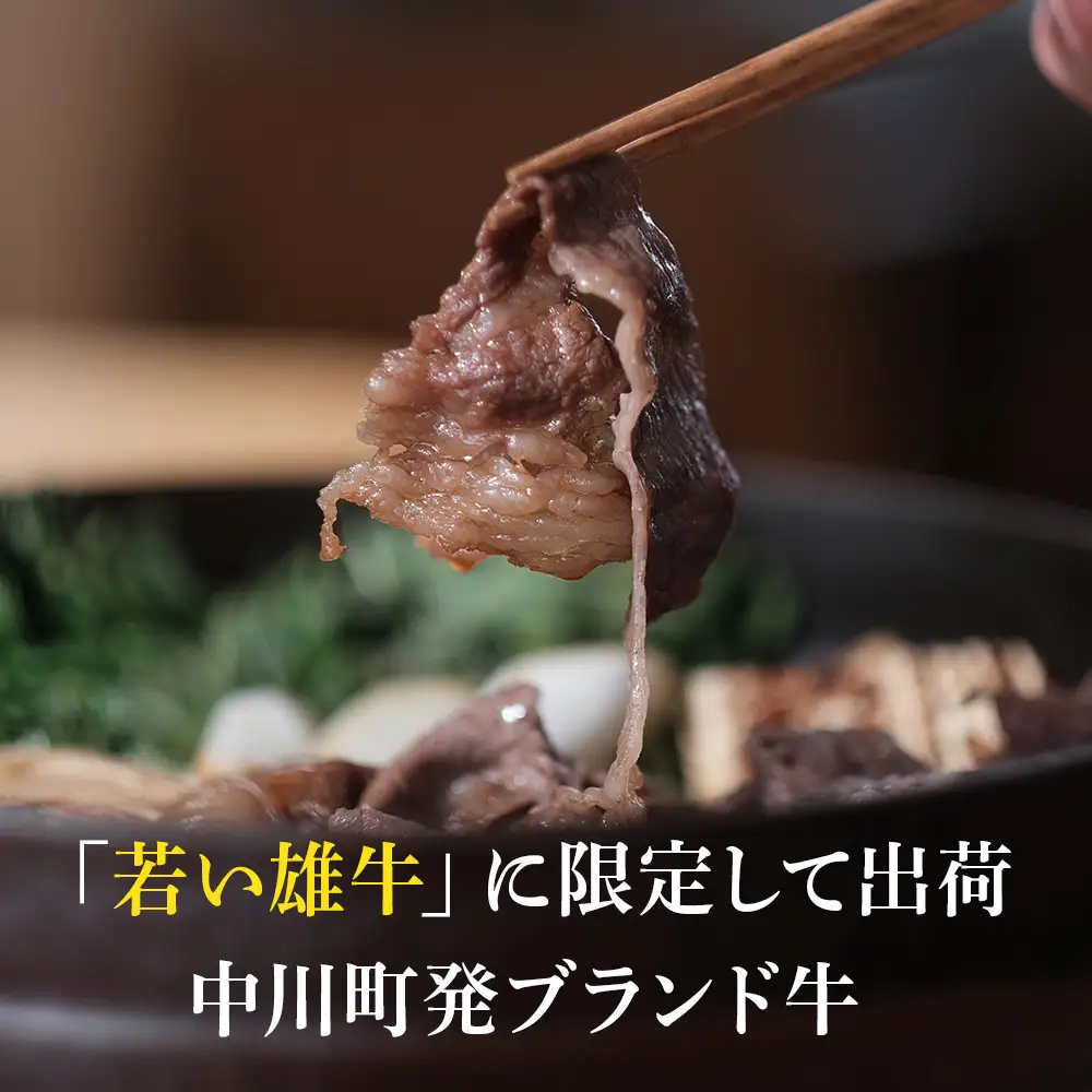 【北海道】中川町産ナカガワ牛　肩ローススライス600g（すき焼き用）
