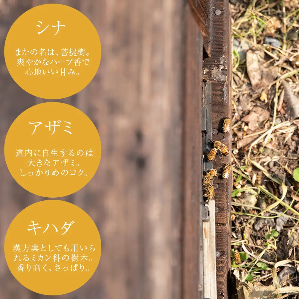 北海道中川町産はちみつ（シナ、アザミ、キハダ）各種250g　KIKORIシリーズ「森蜜」