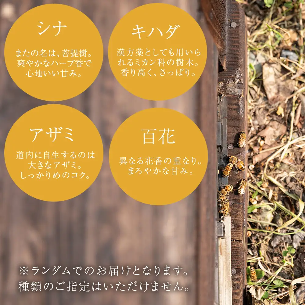 北海道中川町産はちみつ2種セット　各種125g（シナ、アザミ、キハダ、百花）　KIKORIシリーズ「森蜜」