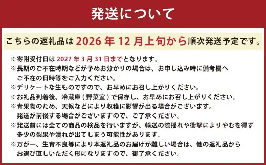 にべさんちの苺 熊本県産イチゴかおり野 約520g【2026年12月上旬発送開始】 苺 いちご フルーツ 果物 熊本