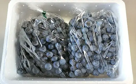 有機ブルーベリー1kg【傳九郎農園】