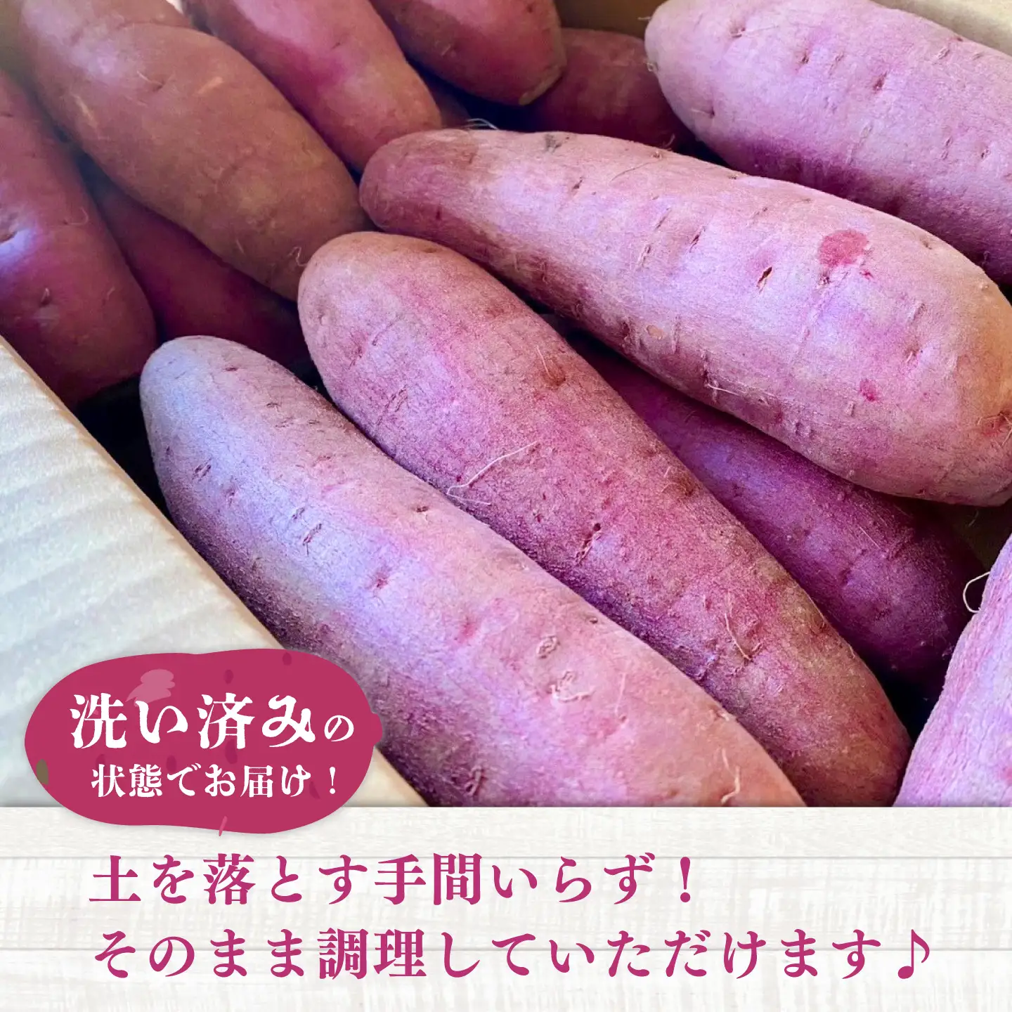先行予約 2026年12月上旬より順次発送 さつまいも 約5kg BHDL002