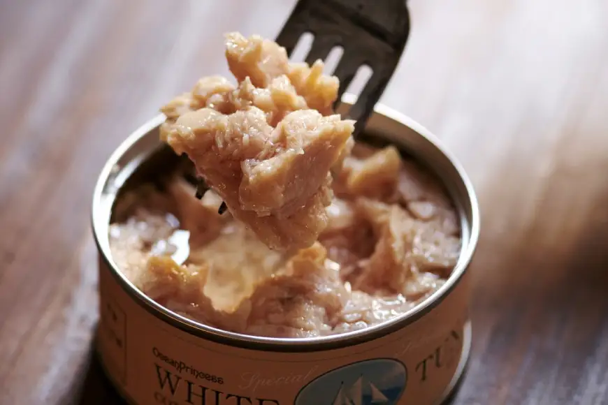 定期便 3回 OceanPrincess WHITETUNA 綿実油フレーク 12缶