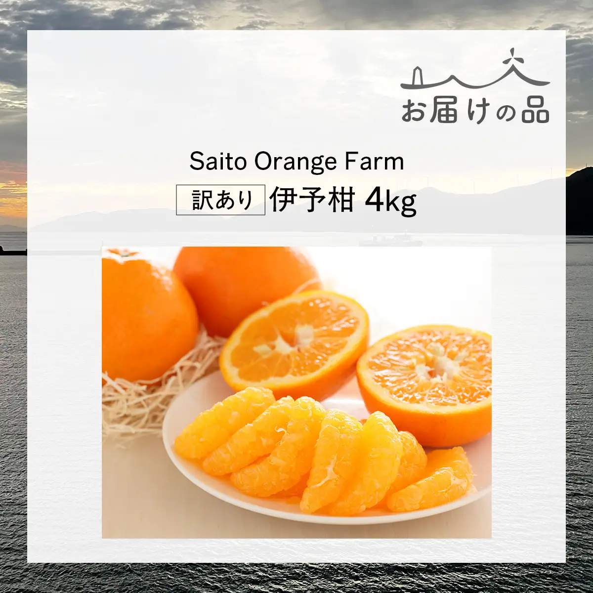 【先行予約】Saito Orange Farm　お徳・訳あり用　伊予柑4kg ｜ 柑橘 みかん ミカン フルーツ 果物 伊予柑　宮内伊予柑　 愛媛　　※2027年1月上旬頃より順次発送予定 IKTAQ037