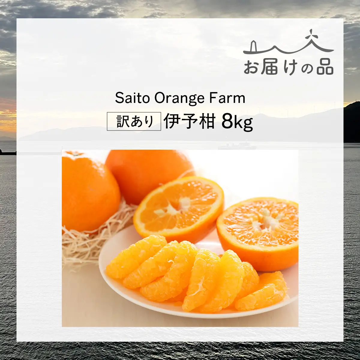 【先行予約】Saito Orange Farm　お徳・訳あり用　伊予柑8kg ｜ 柑橘 みかん ミカン フルーツ 果物 伊予柑　宮内伊予柑　 愛媛　　※2027年1月上旬頃より順次発送予定 IKTAQ038