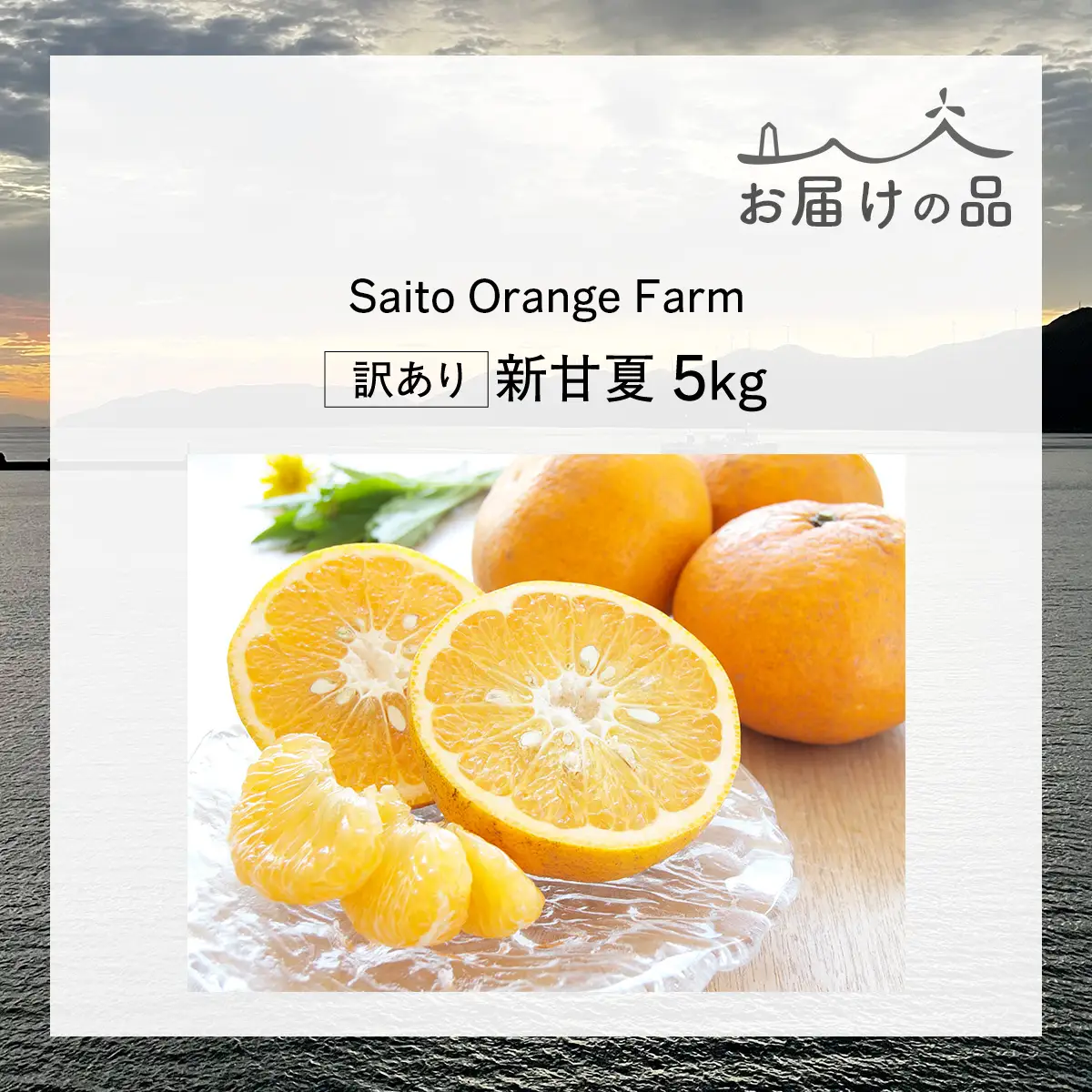 【先行予約】Saito Orange Farm　お徳・訳あり用　新甘夏5kg ｜ 柑橘 みかん ミカン フルーツ 果物　甘夏　新甘夏　サンフルーツ　 愛媛　　※2027年3月中下旬頃より順次発送予定 IKTAQ039