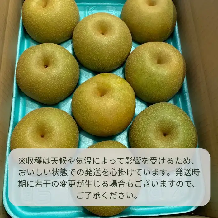 豊水 3kg箱