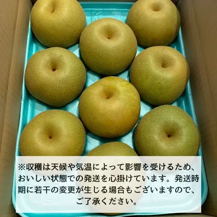 南水 3kg箱