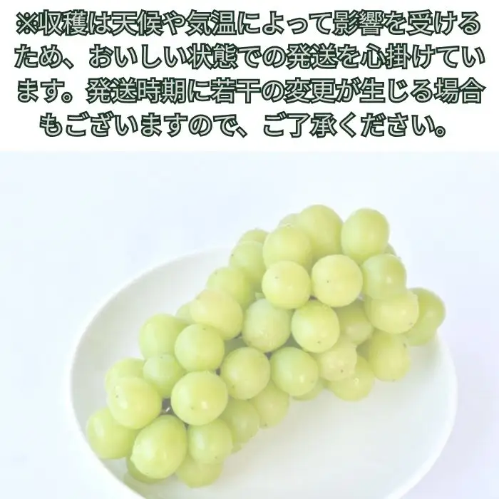 シャインマスカット 2房(1kg)