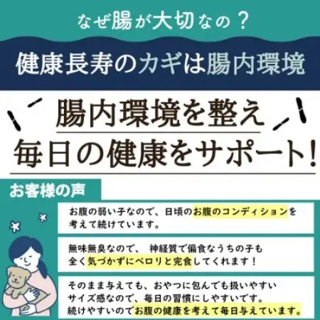 ペット用乳酸菌サプリ ヘルスチャージN 60カプセル【1755626】