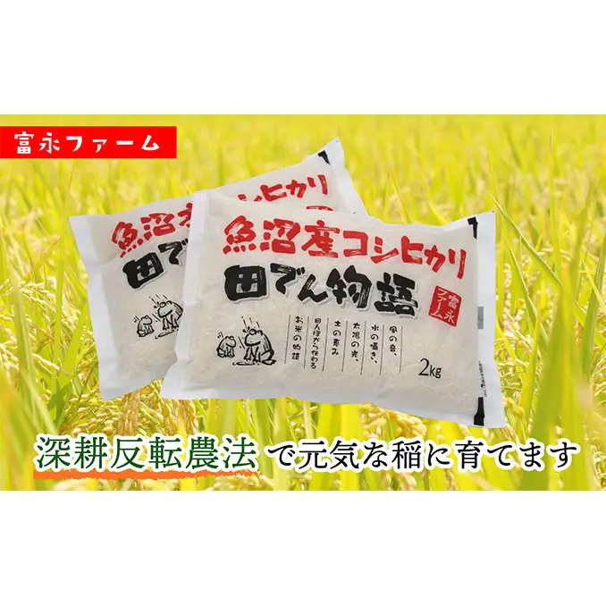 令和8年産 先行予約 「田でん物語」魚沼産コシヒカリ（精米）4kg（2kg×2） お米 白米 ご飯 ブランド米 銘柄米 精米したて 新潟県産 直送 主食 炭水化物 