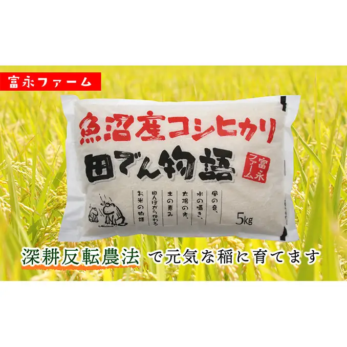 令和8年産 先行予約 「田でん物語」魚沼産コシヒカリ（精米）20kg（5kg×4） お米 白米 ご飯 ブランド米 銘柄米 精米したて 新潟県産 直送 主食 炭水化物 