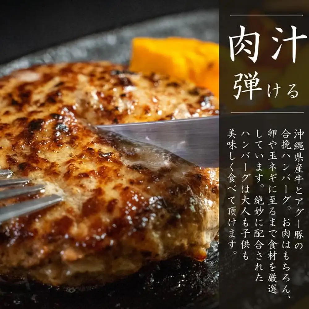 しまんちゅセット(ハンバーグ200g×4個)