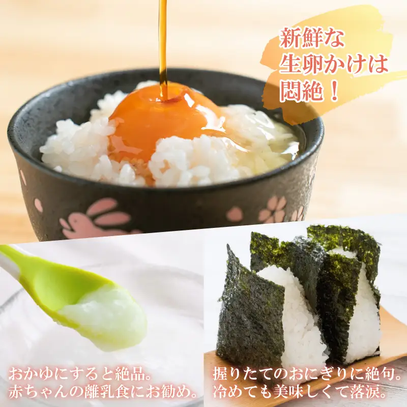 【先行予約】てらおのコシヒカリ白米 5kg×1袋 ※2026年9月20日以降順次発送 [A-041005]