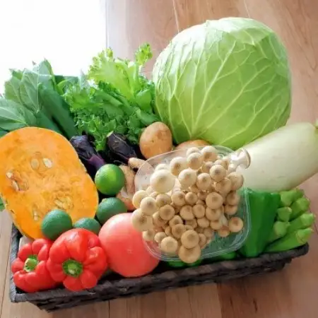 旬の新鮮野菜セット13種以上【配送不可地域：離島】【1753458】