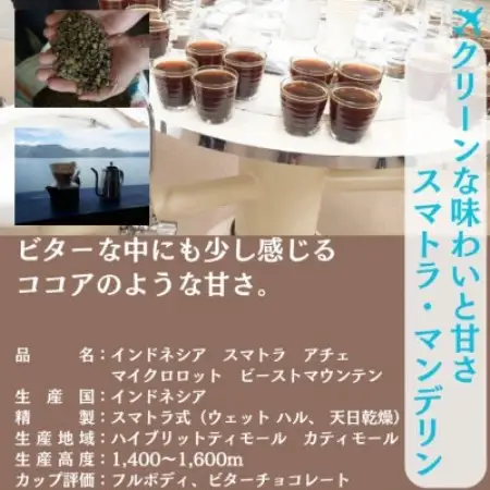 インドネシア マンデリン アチェ 中深煎り 500g ×2【ペーパーフィルター用の中挽き】【1681783】