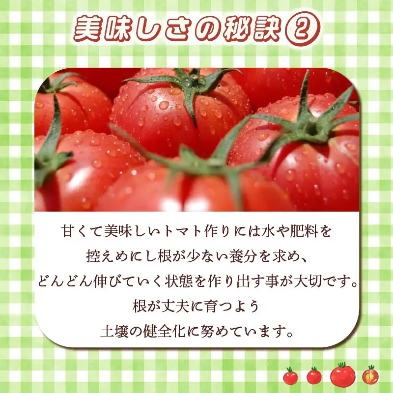 【先行予約】【2027年3月発送】大玉トマト 1kg 大 4玉 以上 トマト