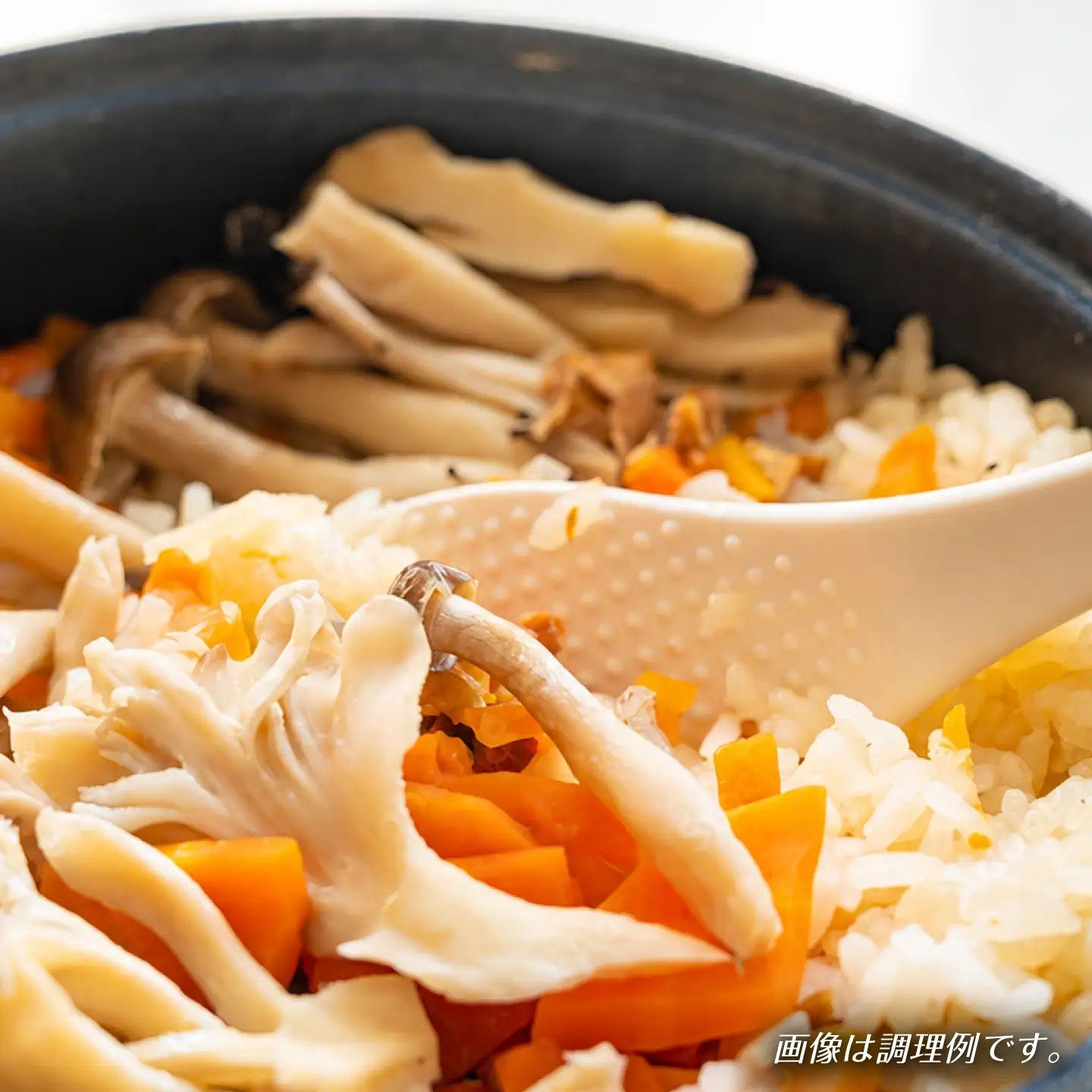 ご飯の素6個 お任せアソートセット ごはん 簡単調理 詰合わせ 岐阜市 / 久世食品[ANJP002]