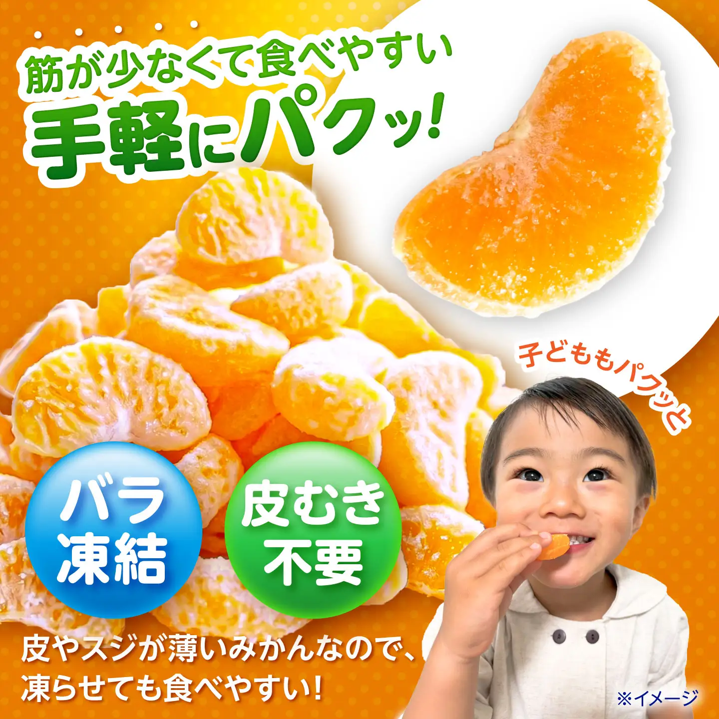 【訳あり】伊木力温州みかんの冷凍みかん 1kg / 伊木力 温州みかん みかん ミカン 冷凍みかん 冷凍ミカン 蜜柑 佐瀬 諫早 多良見 長崎 / 諫早市 / 末永果樹園[AHBD007]