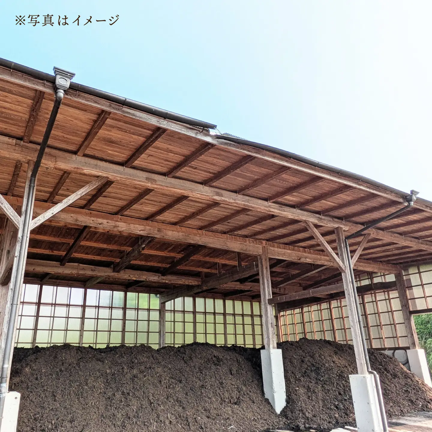 真空【轟峡渓流米】精白米(にこまる) 15kg / 米 お米 白米 精白米 15kg 真空 真空パック 長期保存 / 諫早市 / 轟名水ファーム高来[AHFF021]