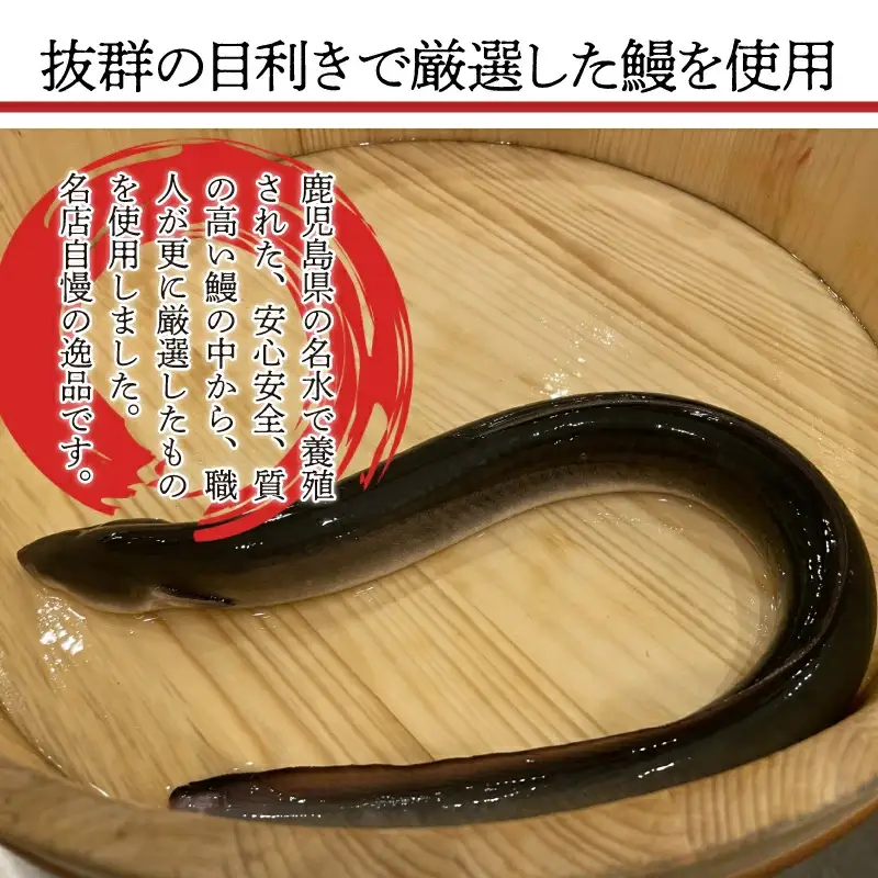 〈いろは〉特大サイズ 有頭うなぎ蒲焼 国産 1尾(230g以上) [M1022] ウナギ 鰻 炭火焼き 肉厚 うな重 ランキング 土用の丑の日 鹿児島県 人気 オススメ 宮若市
