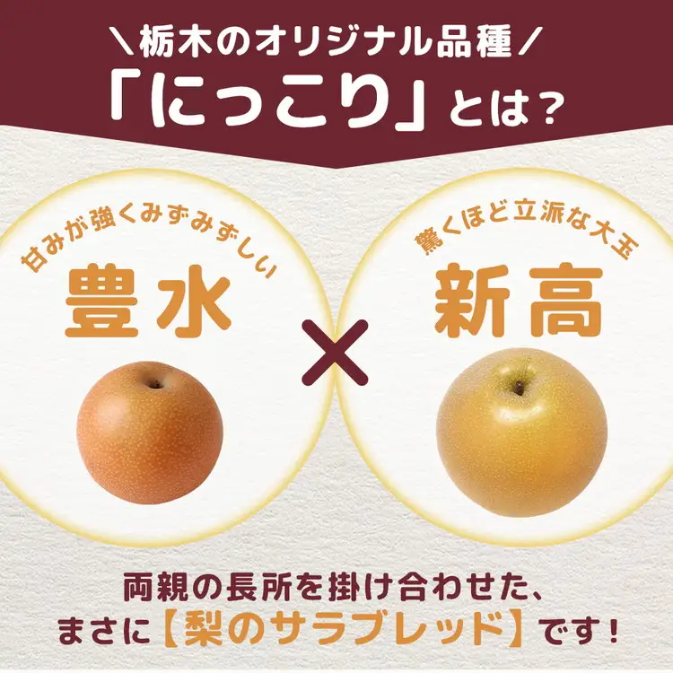 【先行予約】栃木の梨 にっこり 5kg | 梨 秋の味覚 果物 くだもの フルーツ ※2026年10月～発送