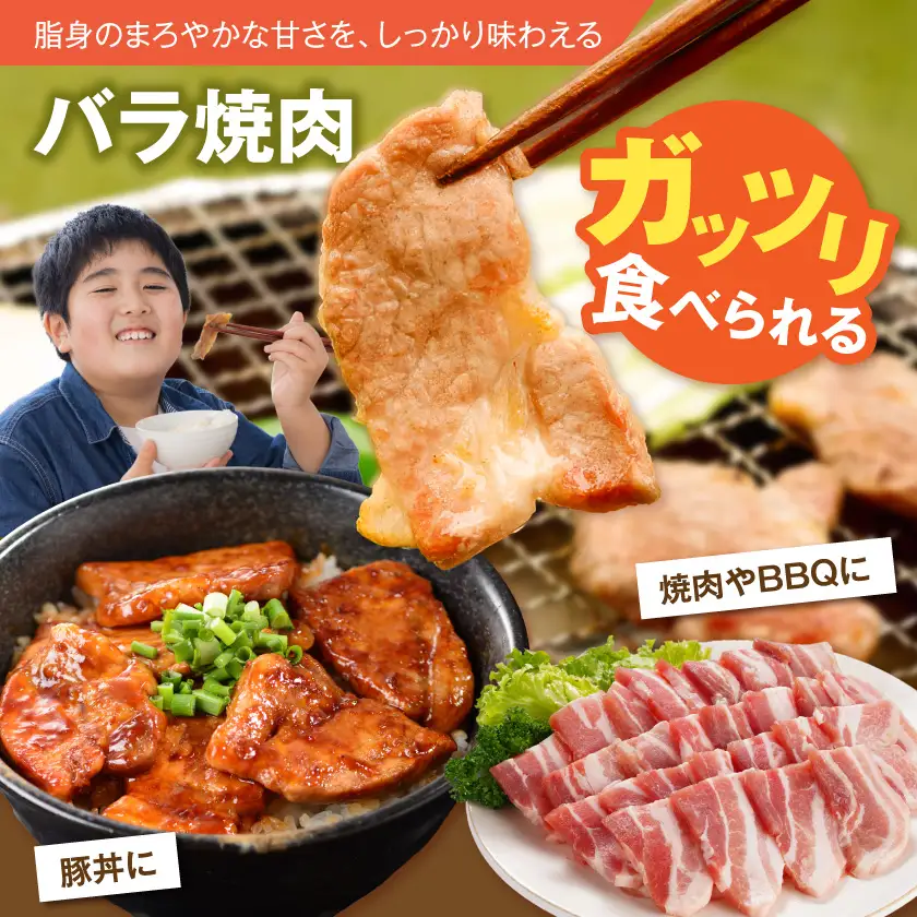 「きなこ豚」万能スタミナ小間切れ＆焼肉セット800g〔AA-12-013〕_(都城市)